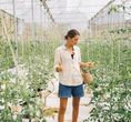 Jadegorse