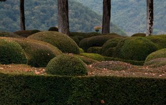 Jadegorse